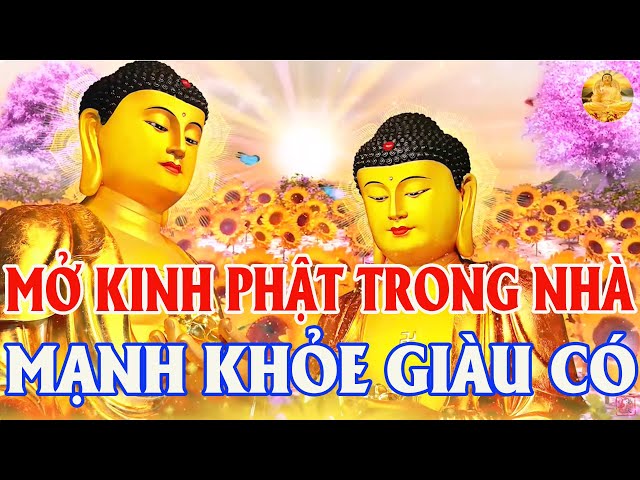 Nghe Tụng Kinh Sám Hối CẦU AN ĐẦU NĂM Phật Hộ Trì Gia Đình MẠNH KHỎE Phát Lộc Phát Tài Thần Tài Đến