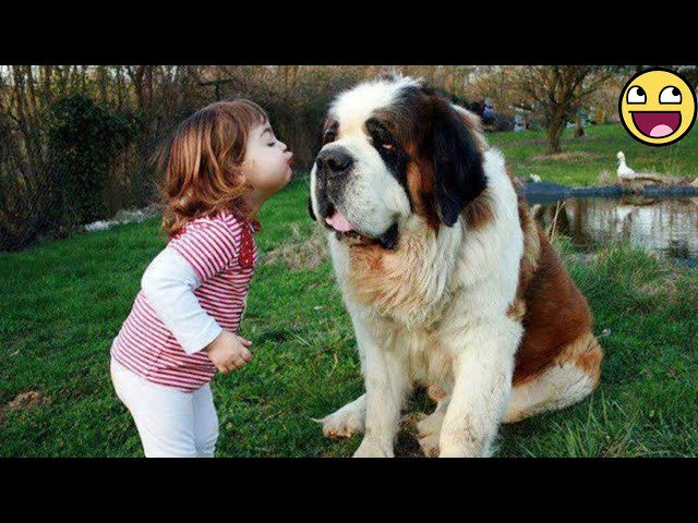 🐶 "Funniest Dogs & Sweetest Babies – Double the Joy!"💞