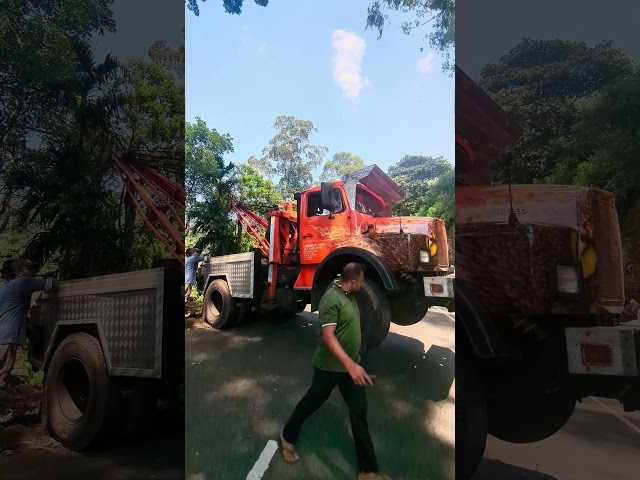 Crane truck 🚒 working 💪