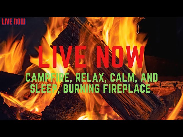 SomeRelax Live Stream