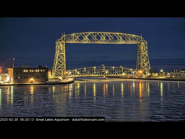 Great Lake Aquarium Cam