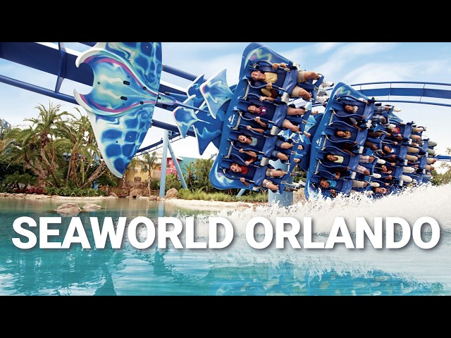 The Best SeaWorld Orlando Roller Coaster and Animal Tour in 4k