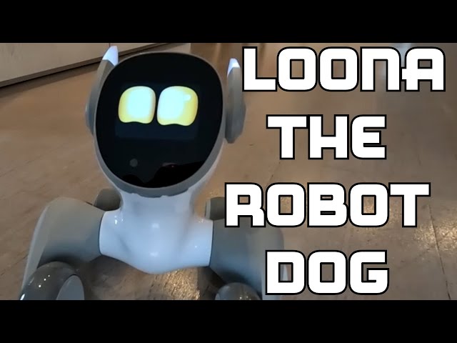 Loona  - The Robot Dog