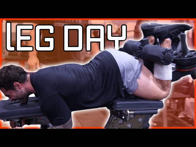 LEG DAY EVERYDAY!