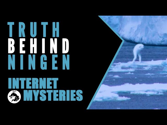 Internet Mysteries: Truth Behind the Japanese Cryptid Ningen