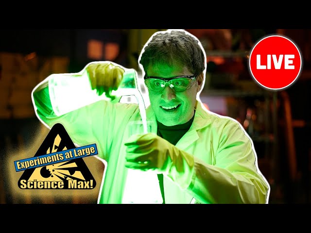 WILD EXPERIMENTS TO TRY AT HOME | Crazy Science Experiments | LIVE | Science Max