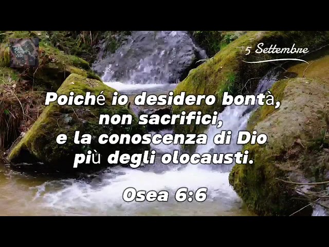 Chiesa Cristiana Evangelica Di Guidonia-Meditazione 5 Settembre #chiesa #iscrivitialcanaleyoutube