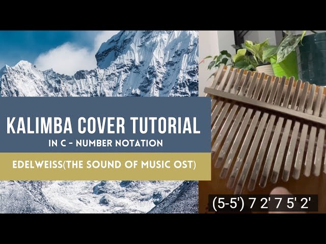 Kalimba Cover Tutorial - Edelweiss