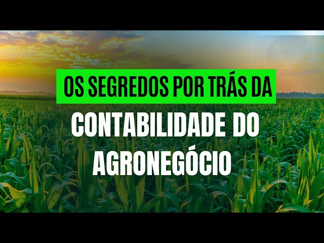 É POR ISSO QUE A CONTABILIDADE DO AGRONEGÓCIO DE MANEIRA ANUAL NÃO FUNCIONA