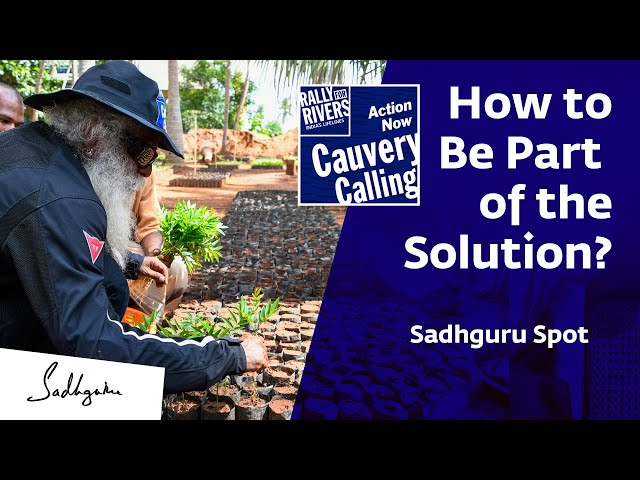 Cauvery Calling How to Be Part of the Solution? - Sadhguru Spot