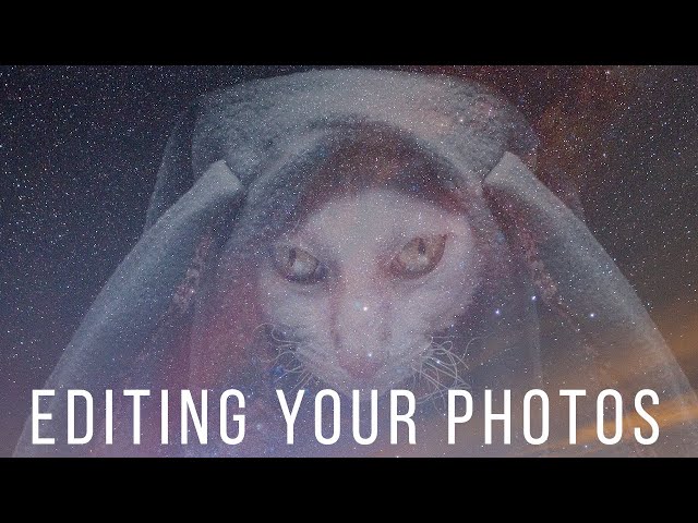 EDITING YOUR PHOTOS OF SCARY CATS AND MORE pt.1