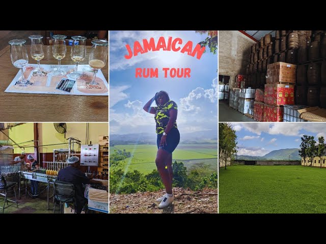 We did a RUM TOUR on an ESTATE in Jamaica! || Worthy Park Estate Rum Tour