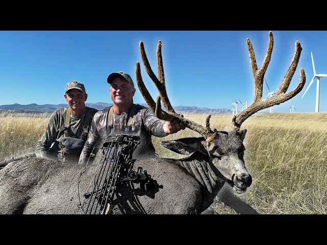 180” Mule Deer Shot in a Quarry | Dream Season Live