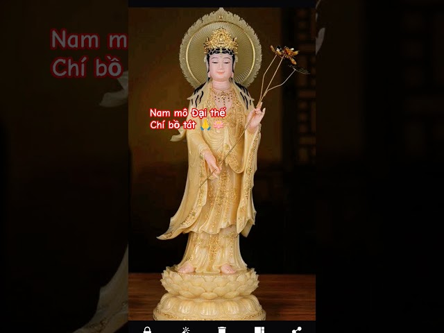 tu là cội Phúc 🙏🪷