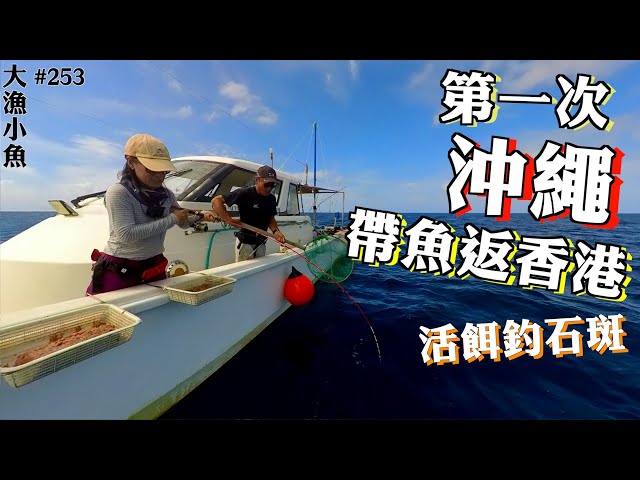 活餌釣石斑┃遇上台灣釣友┃第一次沖繩帶魚返香港┃踩單車上阿蘇火山┃日本釣魚┃Brompton單車旅行┃大漁小魚#253┃中文字幕