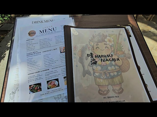 Vlog 10 Izakaya Harumi and Cirque du Soleil's 'Auana In Waikiki