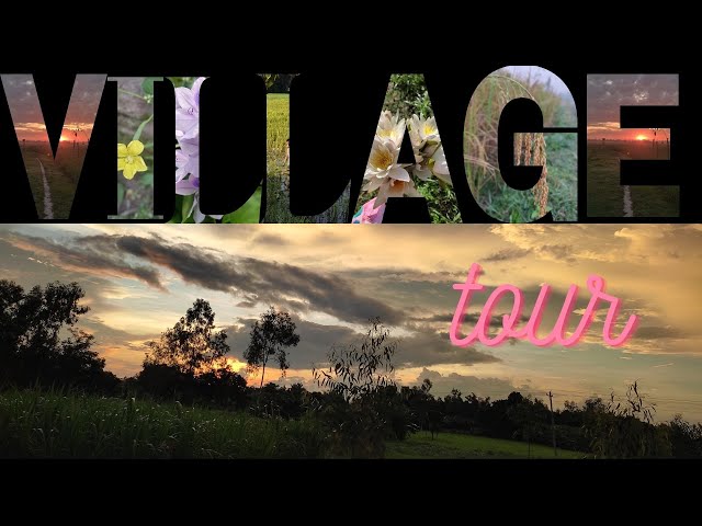 Winter life in village  | vlog | Arjina khatun