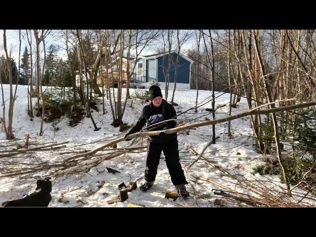 First Steps STARTING Our DREAM HOMESTEAD In New Brunswick, Canada (Ep. 11)