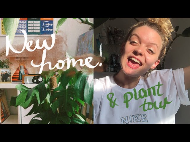 shared apartment tour in berlin+ showing off my plants🌿