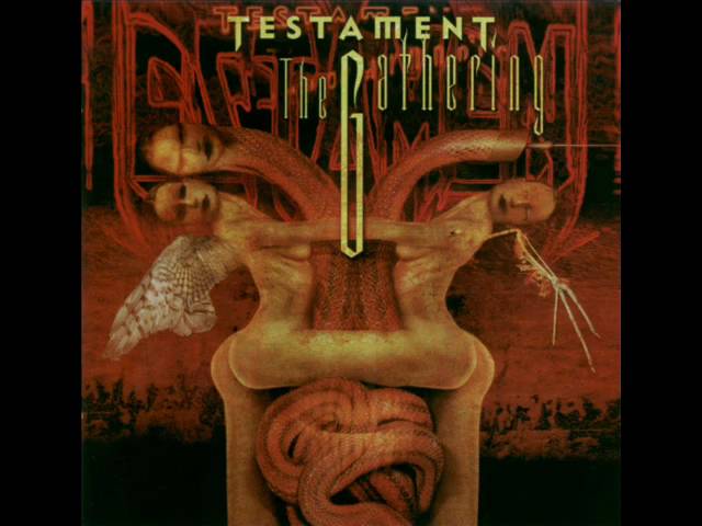 Testament - True Believer