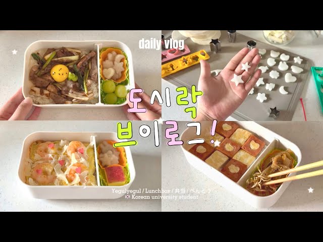 😋 Korean Lunch Box Vlog -! 🍱 How to make pickles ✰ square lunch box 💟 • Pork soy sauce rice