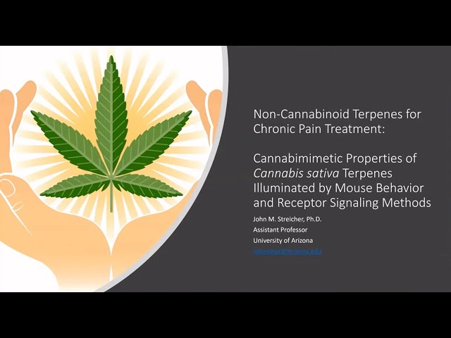 Non-Cannabinoid Terpenes for Chronic Pain Treatment by Dr. Streicher | Azure Biosystems