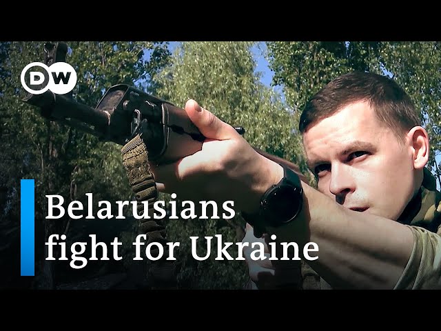 Belarusian recruits fight for Ukraine in its war against Russia | Focus on Europe