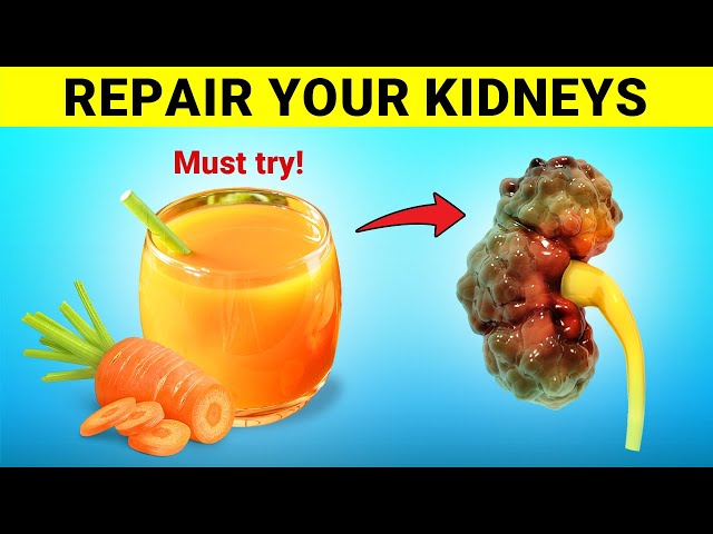 Top 7 Drinks to Heal Your Kidneys and Lower Creatinine Levels