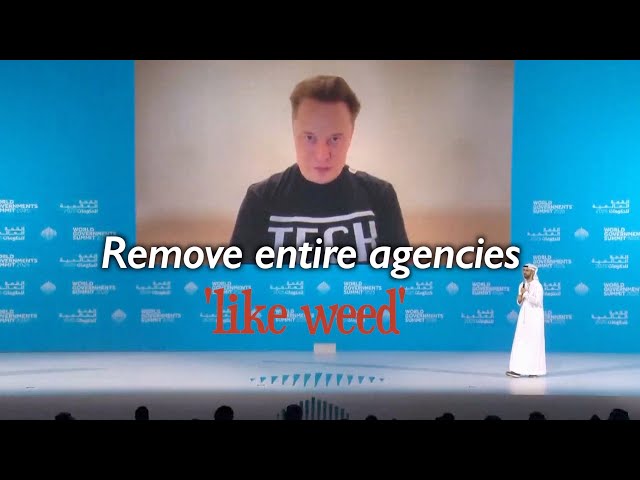 Musk urges US to 'delete entire agencies' at home and stop its 'pushy' meddling abroad