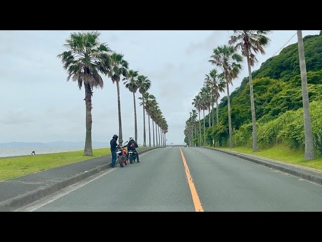 Driving into Nishiura Palm Beach the Outskirt Coastal Town of Gamagori Aichi Japan | 4K HDR