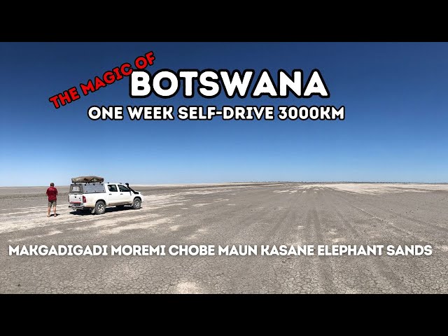 CAN YOU EXPLORE ALL OF BOTSWANA IN JUST ONE WEEK?! #overlanding #safari #selfdrive