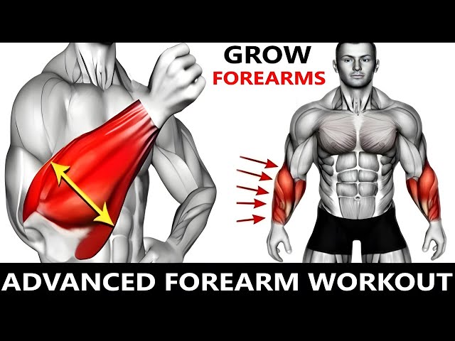 ADVANCED FOREARM WORKOUT  MUSCLE BUILDING WORKOUT