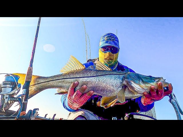 Non Stop Monster Trout And Snook In Pine Island Florida On The Hobie Outback! Winter Bite Is HOT