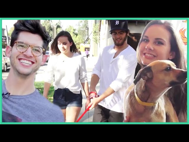 PUPPIES! Dating Dylan & Hunter March - Arden Rose Wants a Date