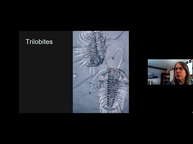 The Trouble with Trilobites – presented by Dr. Danita Brandt