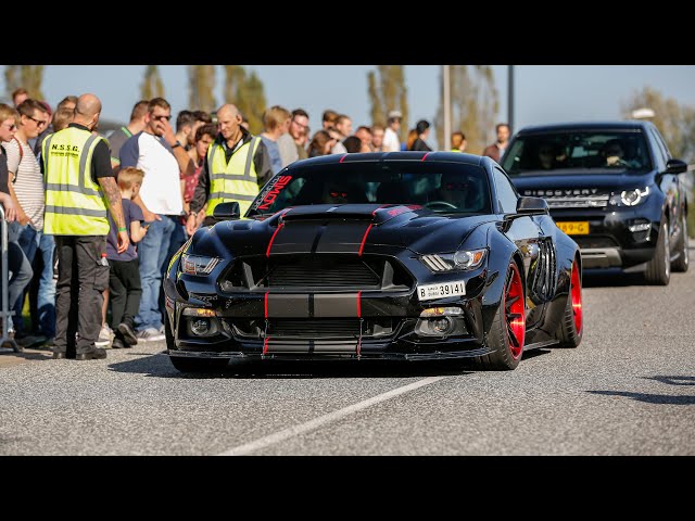 BEST OF Ford Mustang Sounds ! Alphamale Widebody, 400HP Ecoboost Mustang, GT350R, Roush Mustang