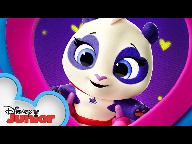 Precious the Panda 🐼| Calling All T.O.T.S. | T.O.T.S. | Disney Junior