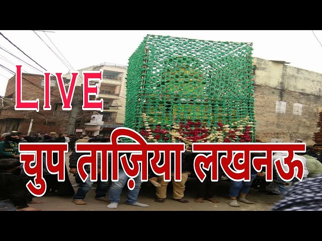 🛑 Live  Chup Taziya Lucknow | चुप ताज़िया लखनऊ | 8 Rabi-ul-Awwal 1445 Hijri | Shia College To Kazmain