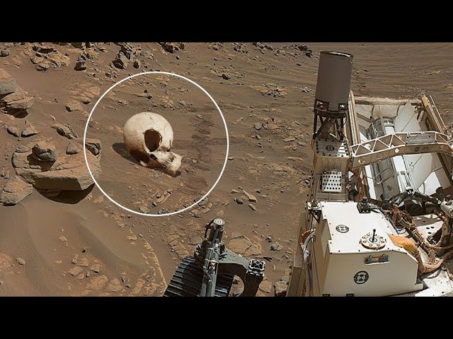 NASA Sends Stunning Images from Perseverance Rover on Mars - Sol 1210 | Mars Latest Video