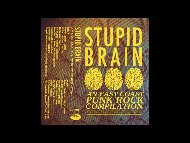 Various – Stupid Brain: An East Coast Punk Rock Compilation