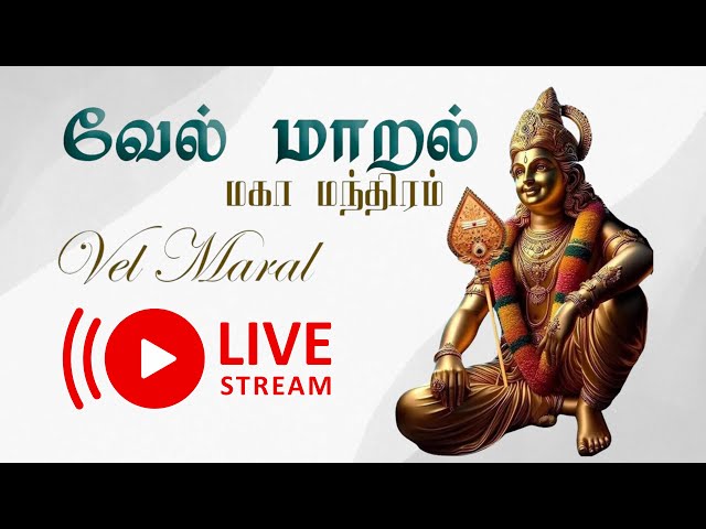 🔴 LIVE SONG | VEL MARAL | வேல் மாறல் 🛕🙏❤️🔱 #MuruganTamilSongs #MuruganKavasam #TamilDevotionalSong