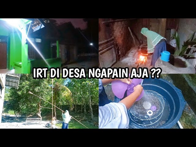 Kegiatan IRT Desa Dari Subuh | Suasana Pagi Hari Di Desa | Hidup Sederhana Di Desa @tripujiayu2602