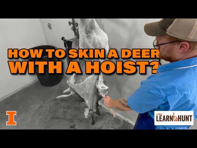 #2 How to Skin a Deer With a Hoist?