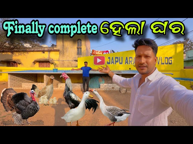 Finally complete ହେଲା ଘର || MINI ZOO ODISHA || Dog lover Odisha || Labrador dog || Pitbul dog ||