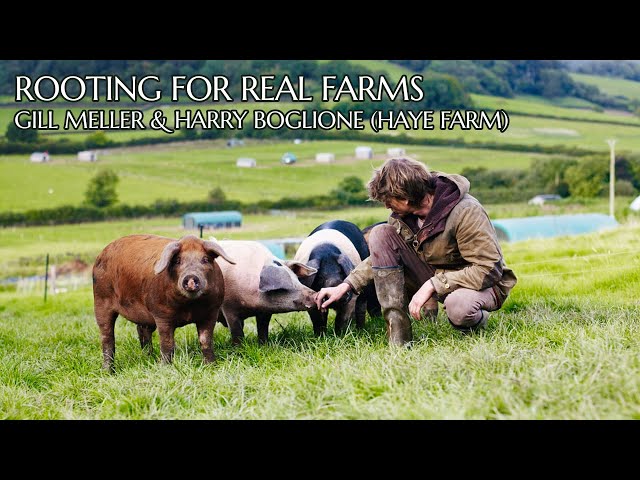 Rooting for Real Farms: Gill Meller & Harry Boglione (Haye Farm)