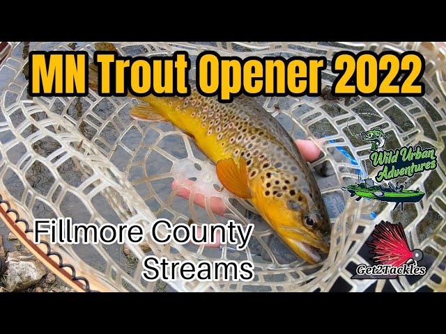 Fly Fishing MN Trout Opener 2022 | SE Minnesota Driftless Area | Fillmore County | Brown Trout