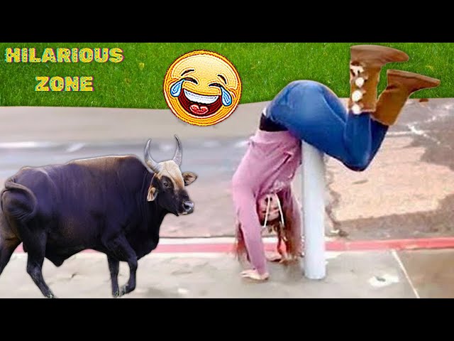 Funny & Hilarious People Life 😆 #125 | TRY NOT TO LAUGH 😂😁😆 | Instant Regret Fails Compilation 2025