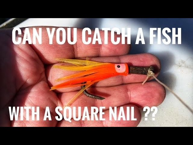 Can you catch a Fish with a Square Nail ??