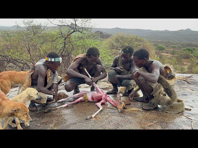 The only tribe hunts for SURVIVAL on earth - HADZA TRIBE