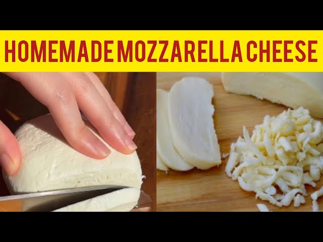 Homemade Mozzarella Cheese How to make Cheese at Home #mozzarella #cheese  #homemadecheese